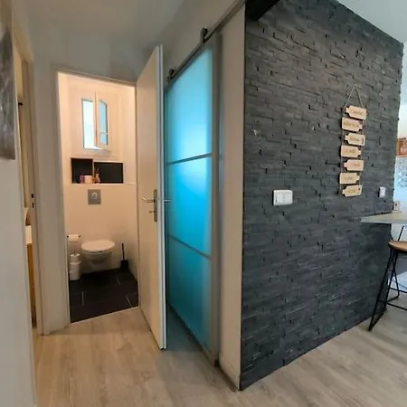 Bel Appartement-Foire Expo-4 Pers-Parking Gratuit Billere Exterior photo